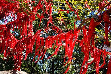 《孤岛惊魂6》PS5版容量泄露 10月5日开始预载